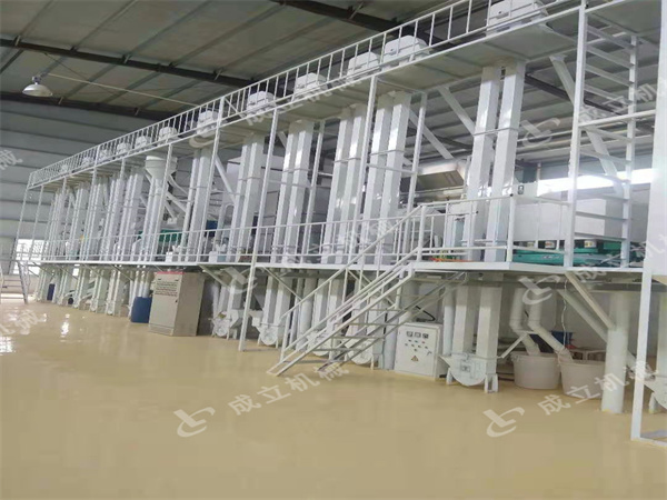 安陽(yáng)滑縣200噸玉米加工設(shè)備